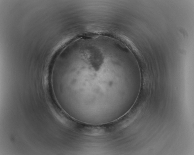X0000115590443200911101241