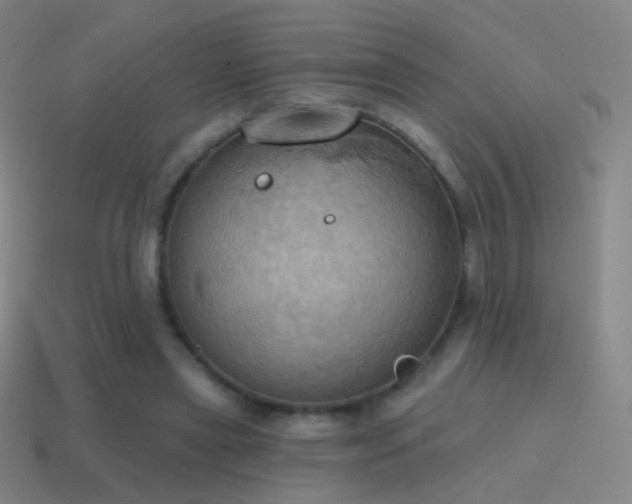 X0000115590445200911101241