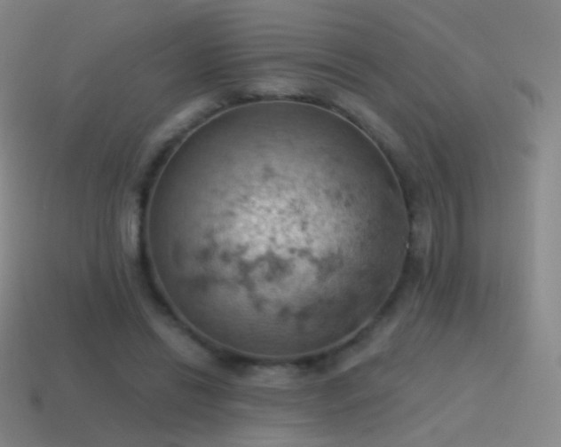 X0000115590446200911101241