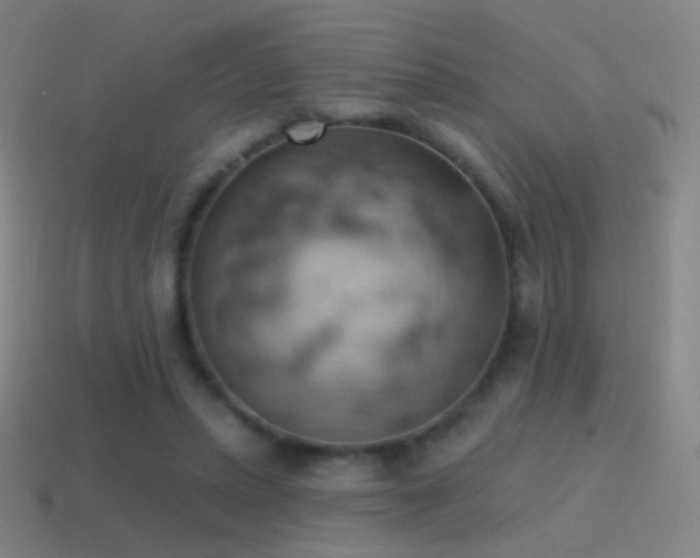 X0000115590447200911101241