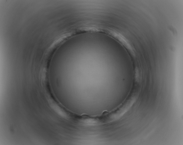X0000115590449200911101241
