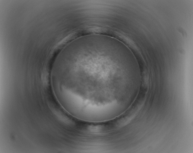 X0000115590450200911101241