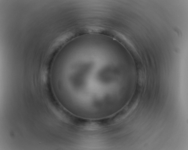 X0000115590451200911101241