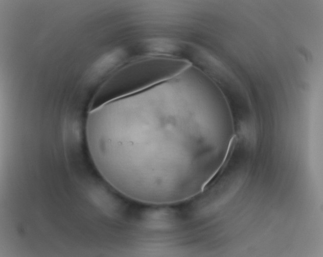 X0000115590452200911101242