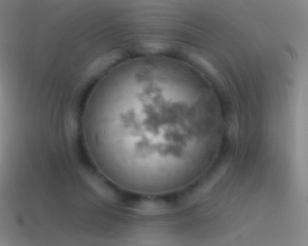 X0000115590455200911101242
