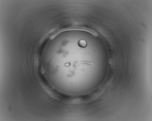 X0000115590456200911101242