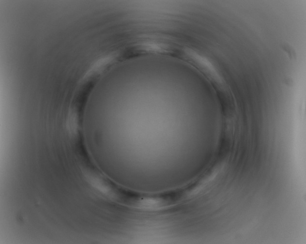 X0000115590457200911101242