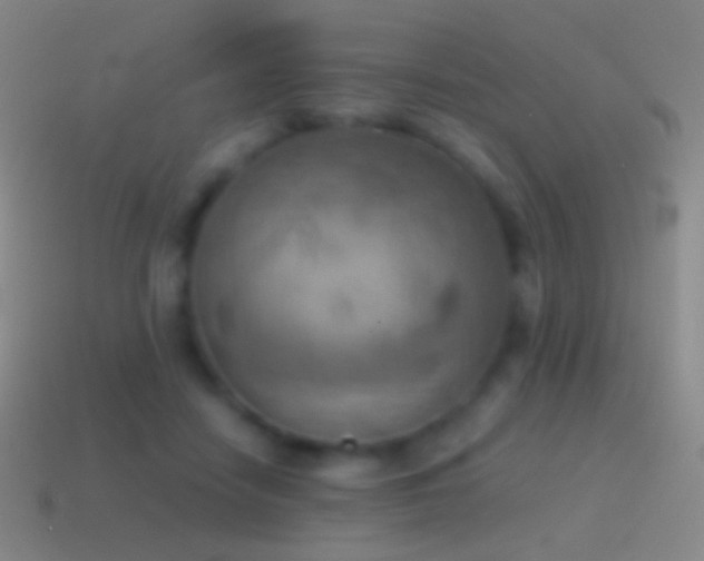 X0000115590458200911101242