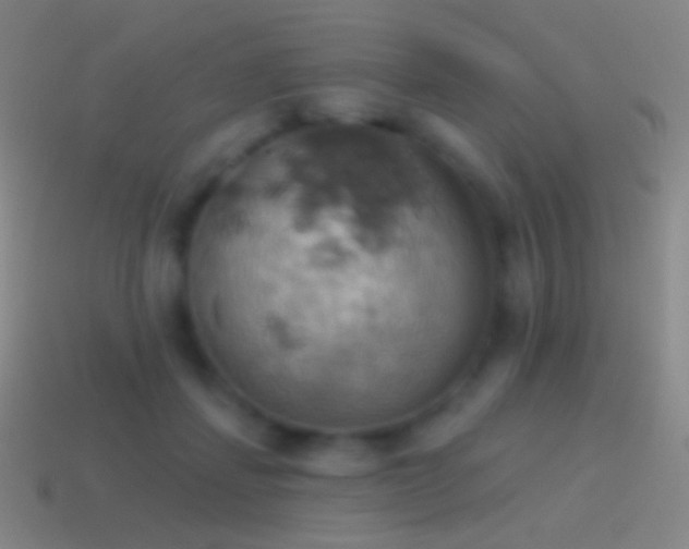 X0000115590459200911101242