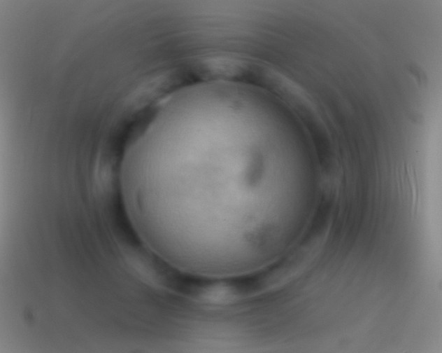 X0000115590460200911101242