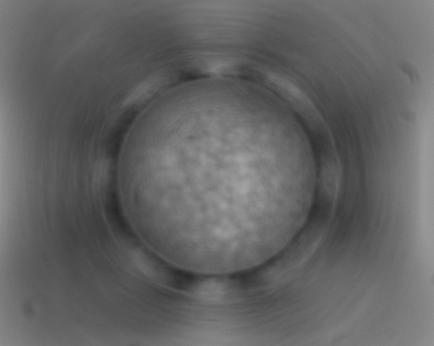 X0000115590461200911101242