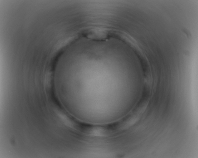 X0000115590462200911101242