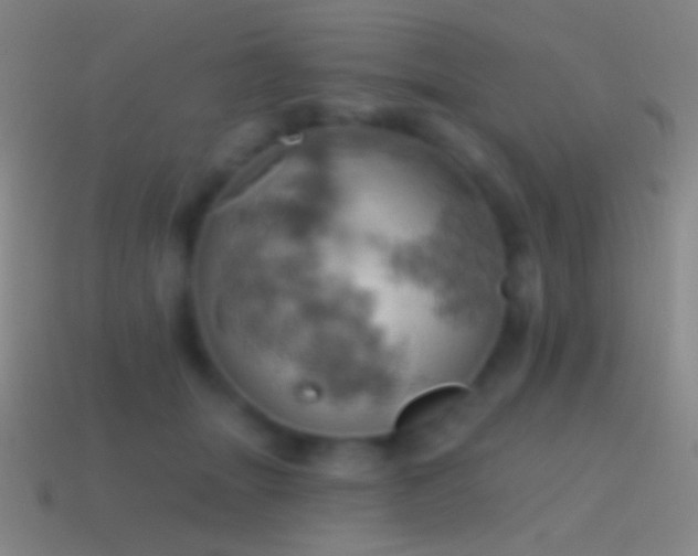 X0000115590463200911101242