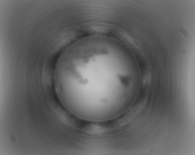 X0000115590464200911101242