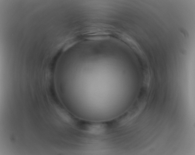 X0000115590465200911101242