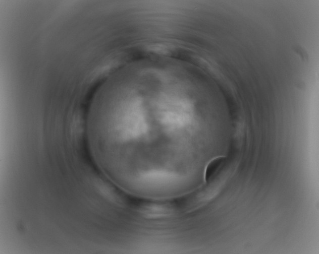 X0000115590466200911101242