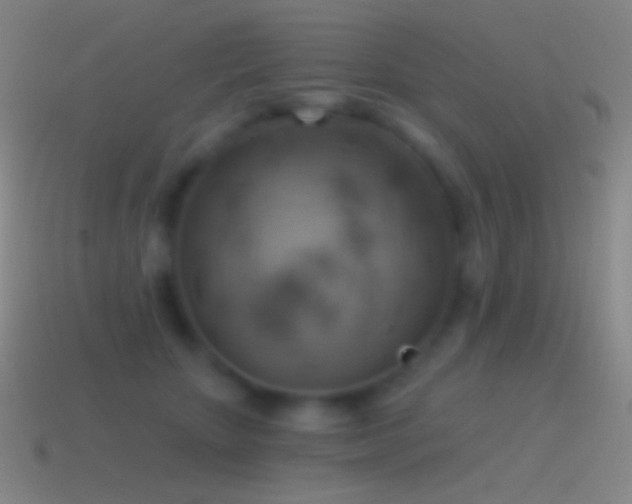 X0000115590467200911101242