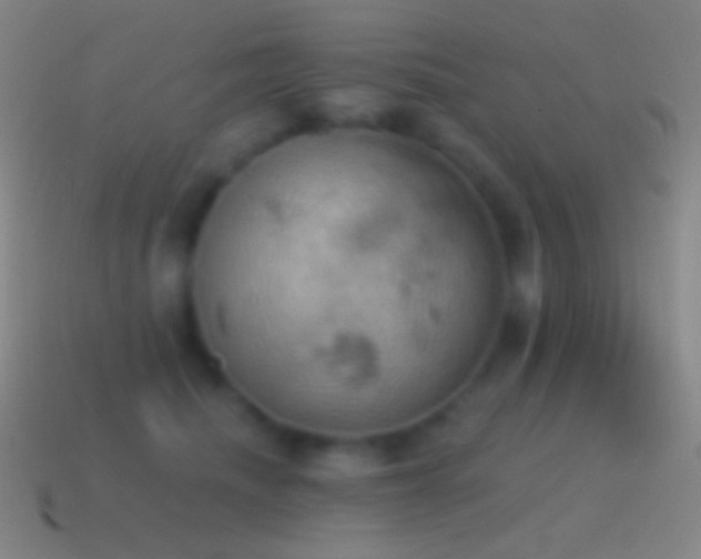 X0000115590468200911101242