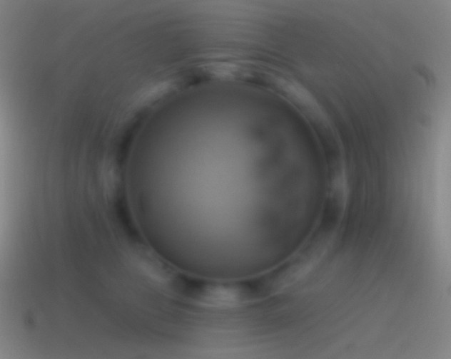 X0000115590469200911101242