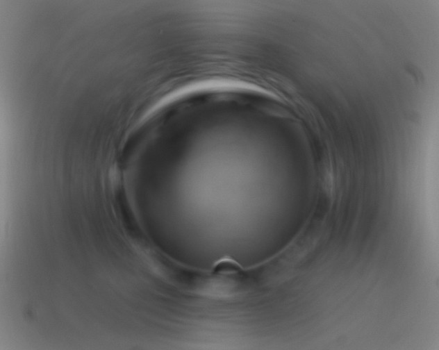 X0000115590471200911101242