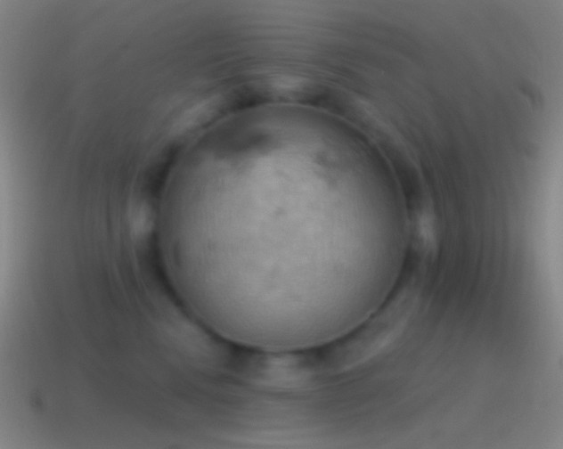 X0000115590472200911101242