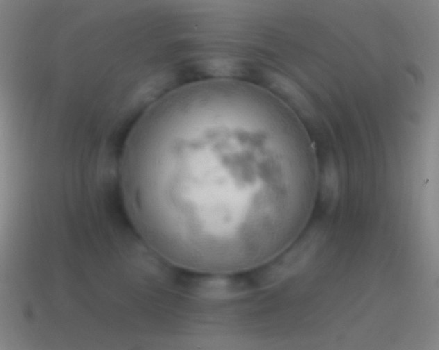 X0000115590473200911101242