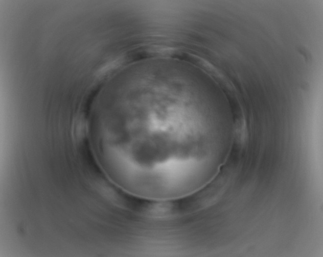 X0000115590474200911101242