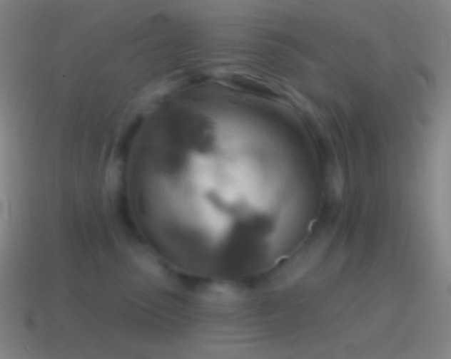X0000115590475200911101242