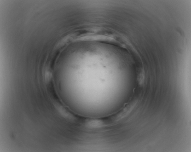 X0000115590476200911101242