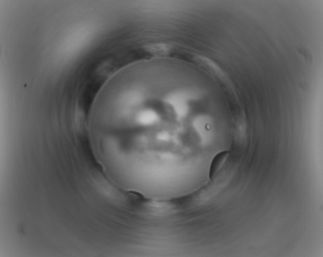 X0000115590477200911101242