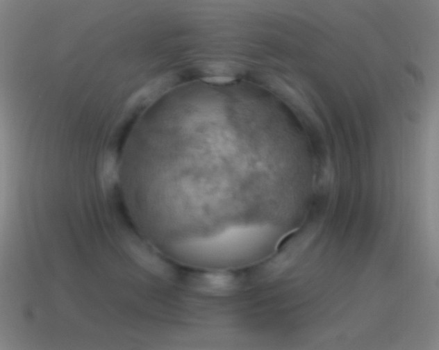 X0000115590478200911101242
