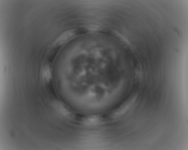 X0000115590479200911101242