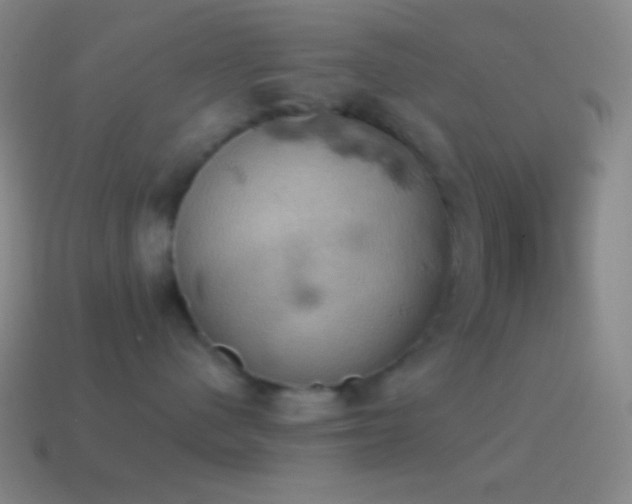 X0000115590480200911101242