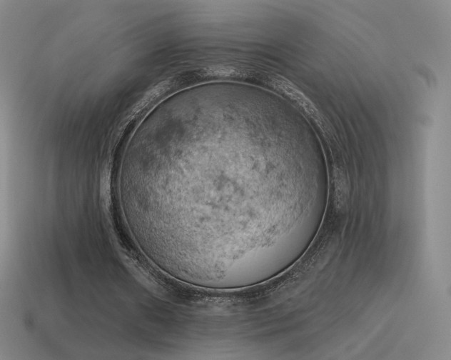X0000115590482200911101241