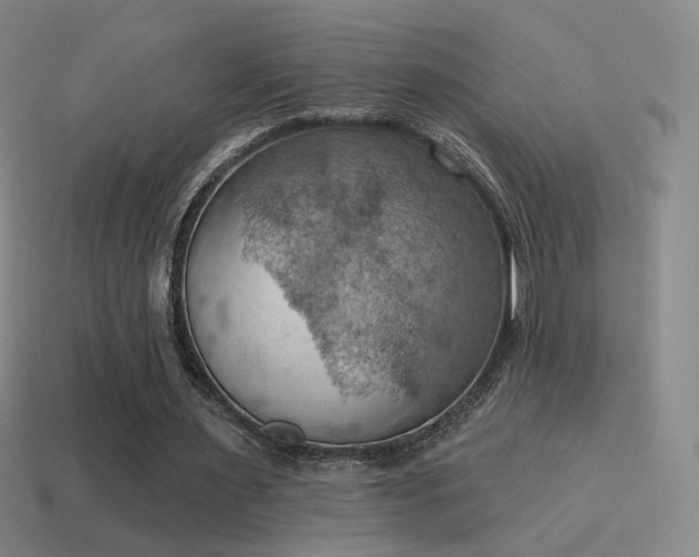 X0000115590483200911101241