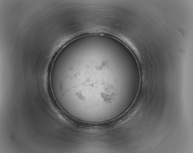 X0000115590485200911101241