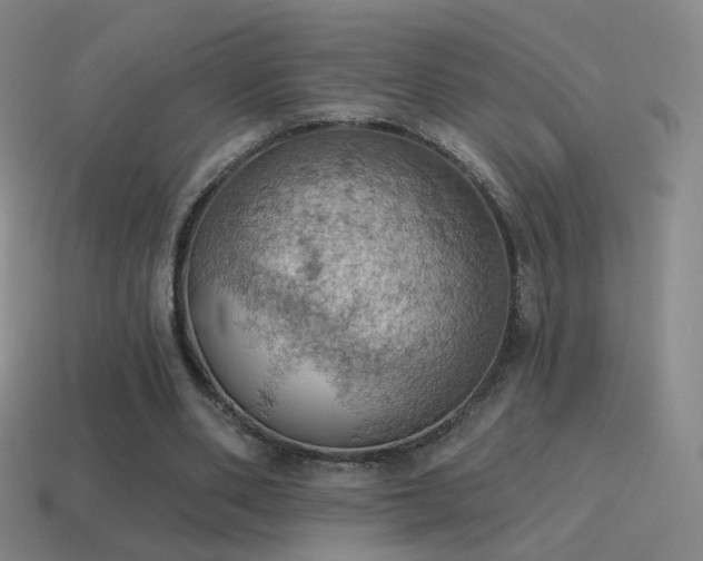X0000115590486200911101241