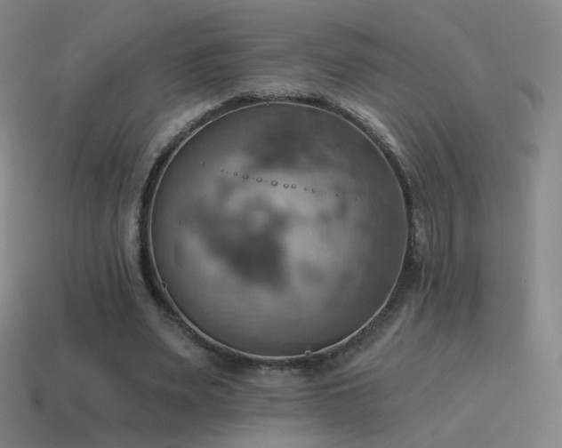 X0000115590487200911101241