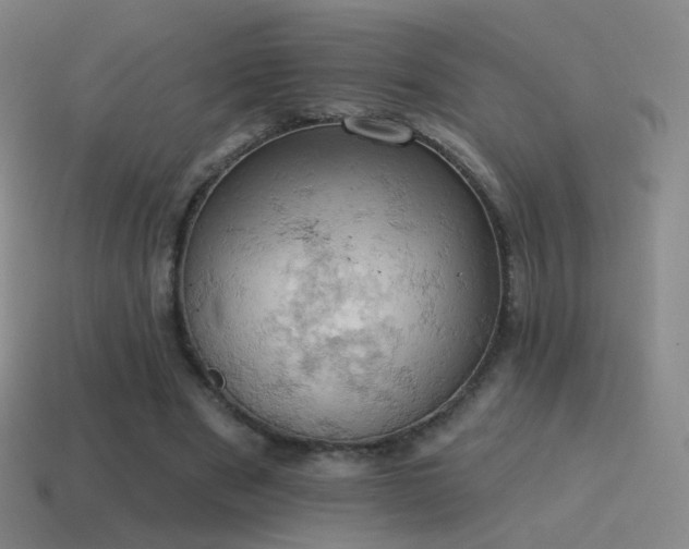 X0000115590489200911101241