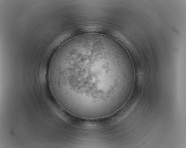 X0000115590490200911101241