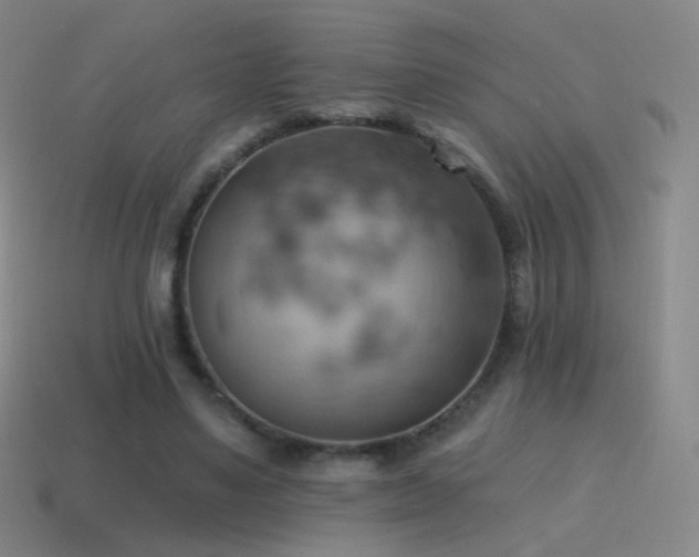 X0000115590491200911101241