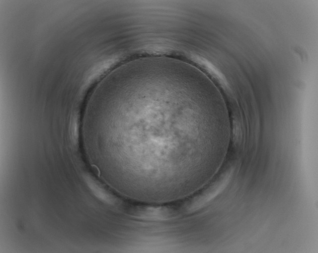 X0000115590493200911101241