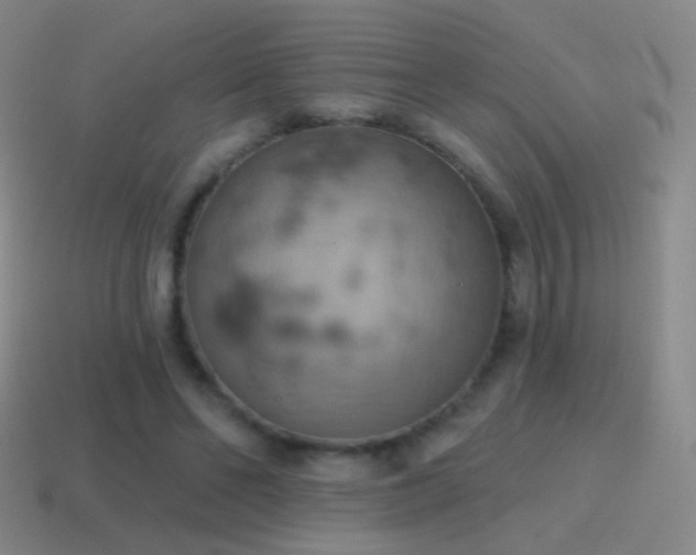 X0000115590494200911101241