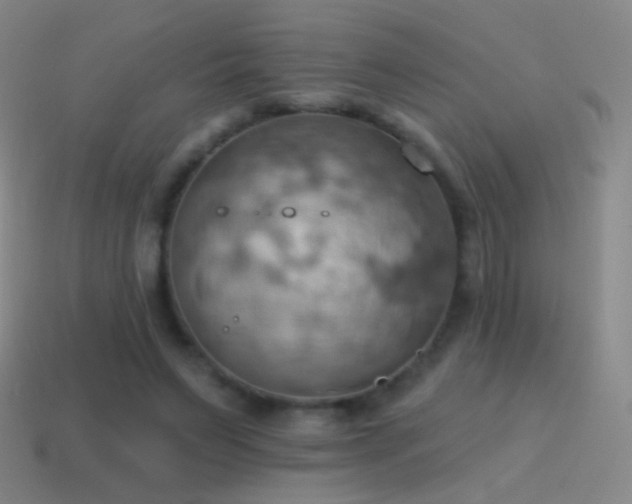 X0000115590495200911101241