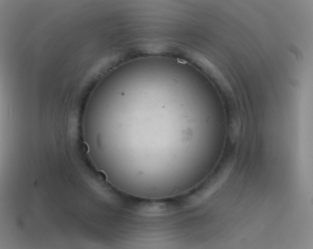 X0000115590497200911101241