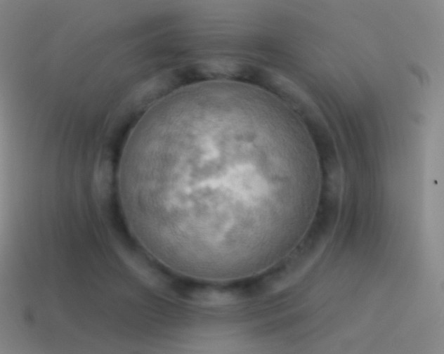 X0000115590498200911101241