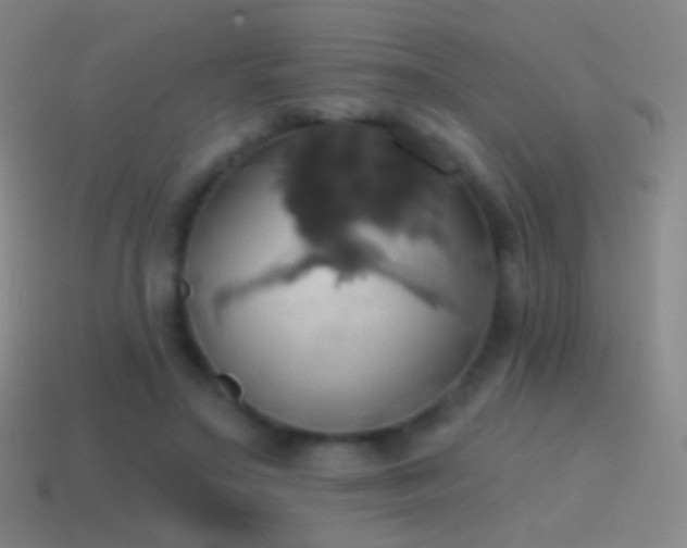 X0000115590499200911101241