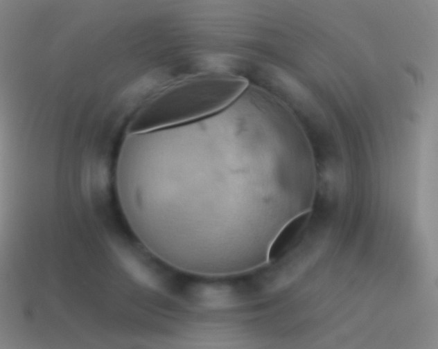 X0000115590500200911101241