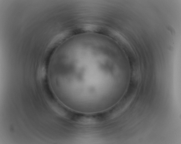 X0000115590502200911101241