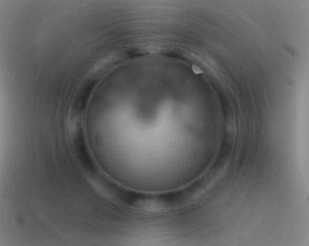 X0000115590503200911101241